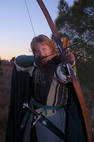 Faramir Inspired Ensemble